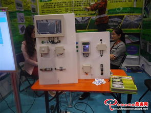 科技賦能 味蕾綻放——3000多項(xiàng)食用菌產(chǎn)品技術(shù)亮相青島會(huì)展，計(jì)量技術(shù)服務(wù)助力產(chǎn)業(yè)升級(jí)