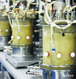 慕恩生物菌肥產(chǎn)品全國空白市場特許經(jīng)銷商火熱招募中