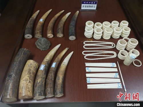 水口海關向林業局移交走私動物制品，加強生物資源保護執法合作